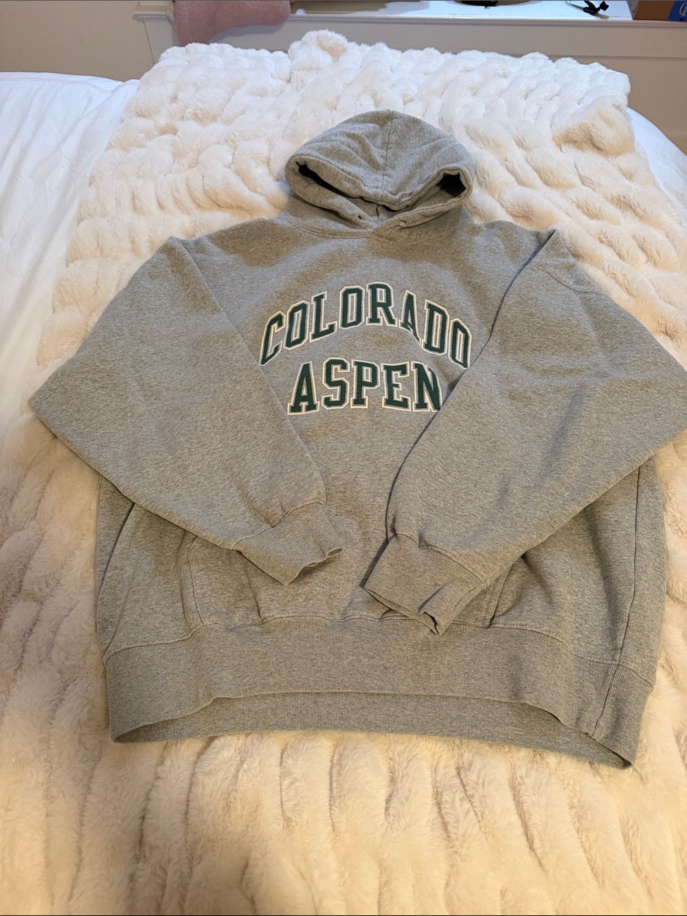 Brandy Melville Gray 'Colorado Aspen' Pullover Hoodie